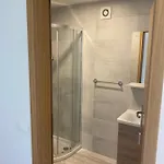 Small Wooden And Zgornja Dobrava Apartma *