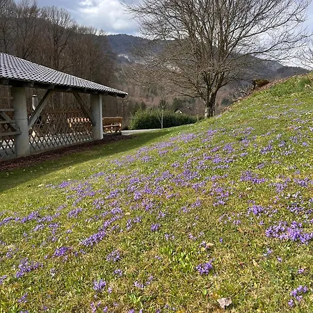 Апартаменты Small Wooden And Zgornja Dobrava