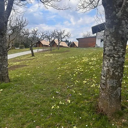 Small Wooden And Zgornja Dobrava Radovljica